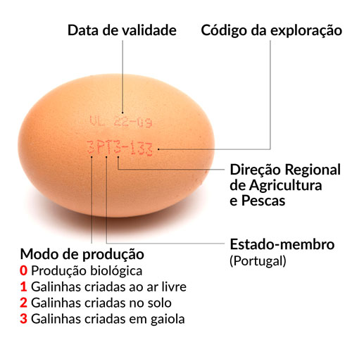 informação do ovo